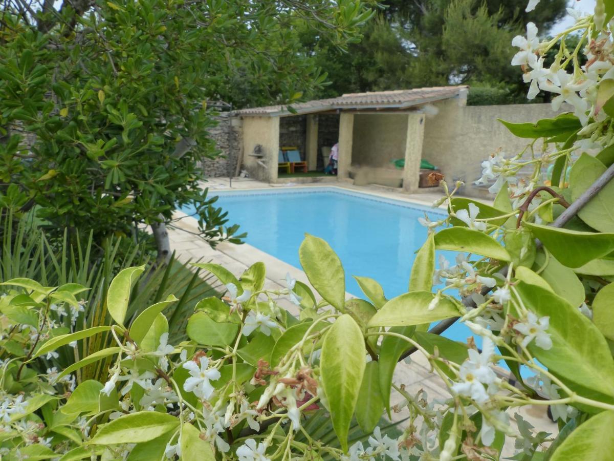 La Quietude De St Antoine - Piscine Privee Villa L'Isle-sur-la-Sorgue Kültér fotó